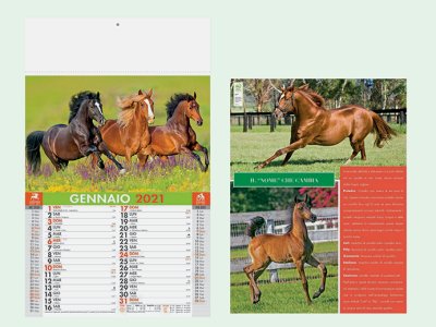 - Calendario brandizzabile PA 107 Cavalli