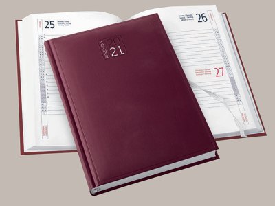 Agenda reclamizzabile PB 530 Agenda Giornaliera