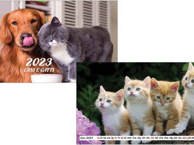 Calendario reclamizzabile PB 403 NP Cani e Gatti