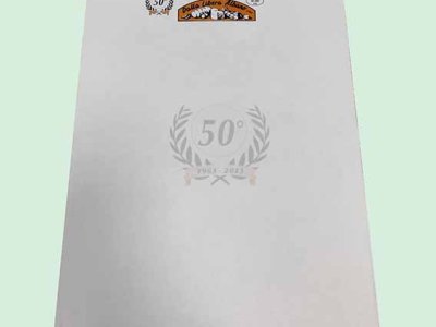 Carta intestata brandizzabile