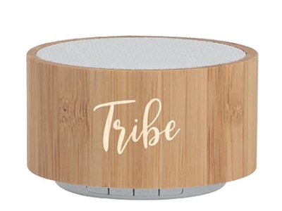 Speaker reclamizzabile PF 289 Bamboo Speaker