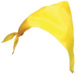 Bandana brandizzabile PM 185 Triumph