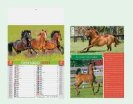 - Calendario brandizzabile PA 107 Cavalli