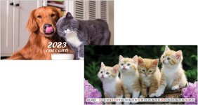 Calendario reclamizzabile PB 403 NP Cani e Gatti