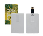 Memoria USB personalizzabile PF 106-04 Passepartout