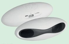 Speaker personalizzabile PF 276 Wally